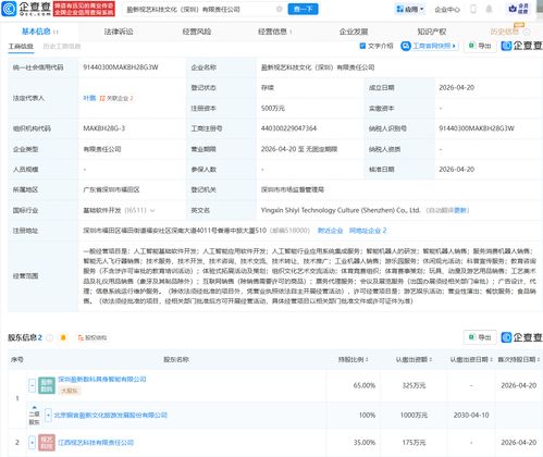 盈新发展与多家企业合资成立科技文化公司，涵盖多项AI业务及基础软件开发